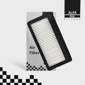 Alfa Pak Air Filter Hyundai Santro