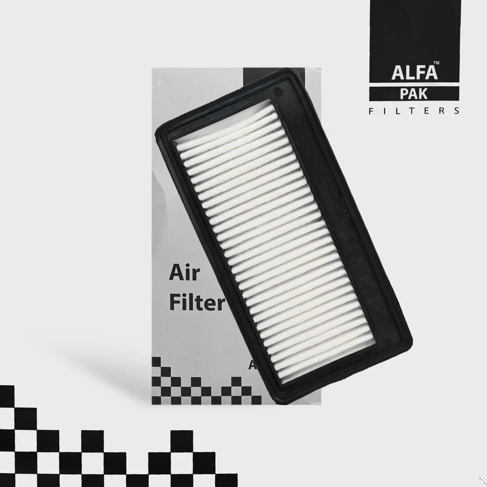 Alfa Pak Air Filter Hyundai Santro