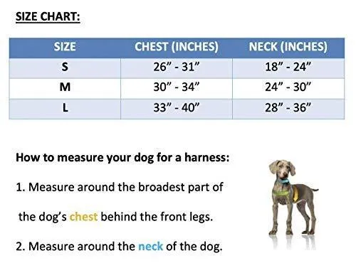 TINOGASTA - Polo Dog Harness & Lead Set